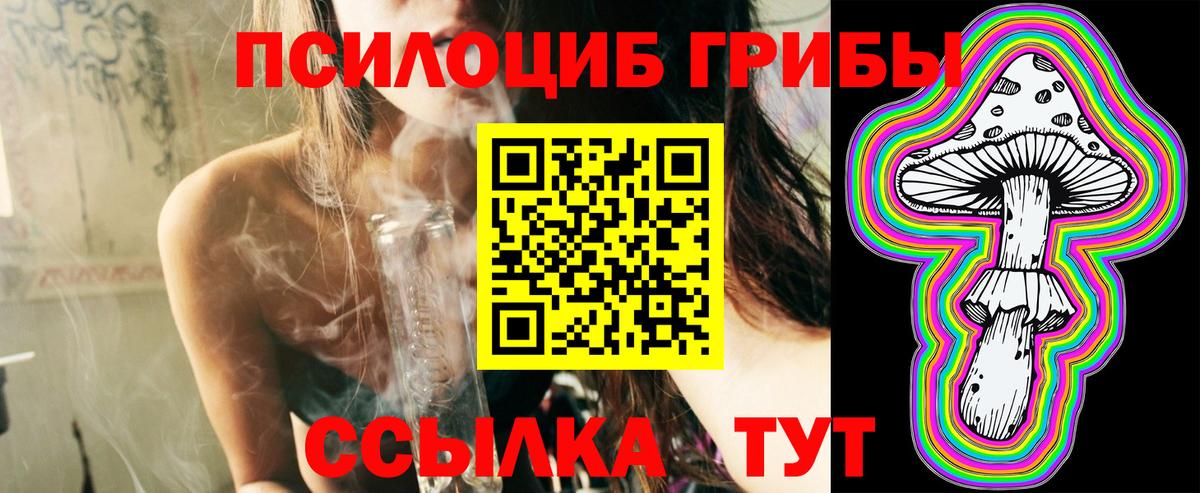Галлюциногенные грибы Cubensis Новоалександровск