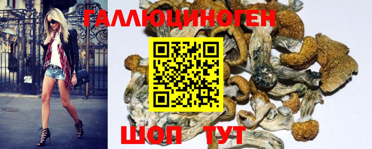 Галлюциногенные грибы GOLDEN TEACHER  дарнет шоп  Галлюциногенные грибы мухоморы  Новоалександровск  Вход с VPN 